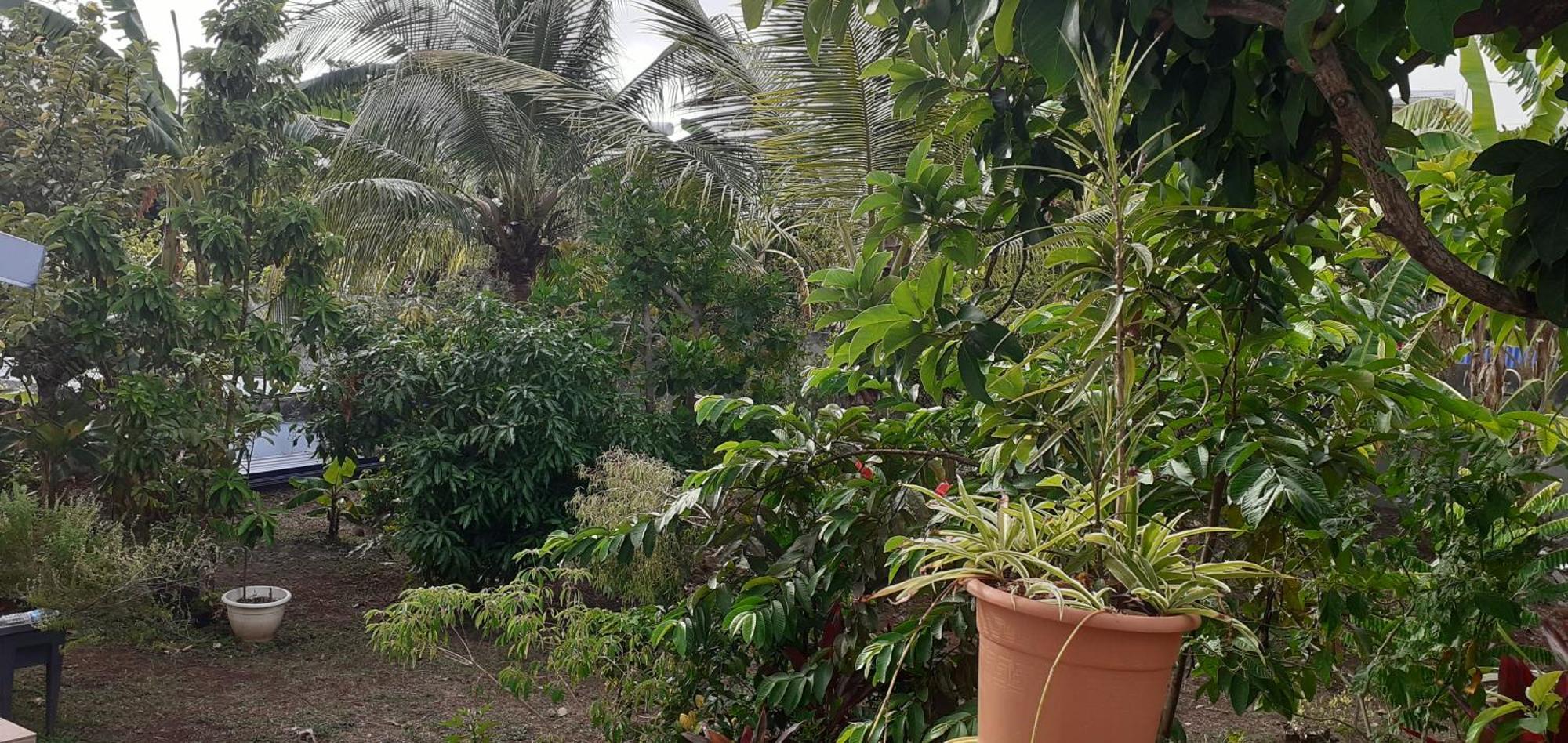 شقة Le P'Tit Nid Cocodydy Baillif المظهر الخارجي الصورة